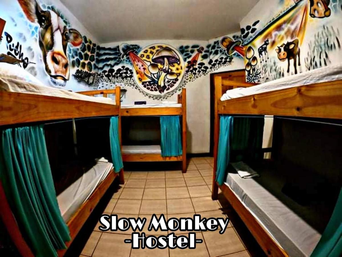 Slow Monkey Hostel Playa Santa Teresa (Puntarenas) Exterior foto