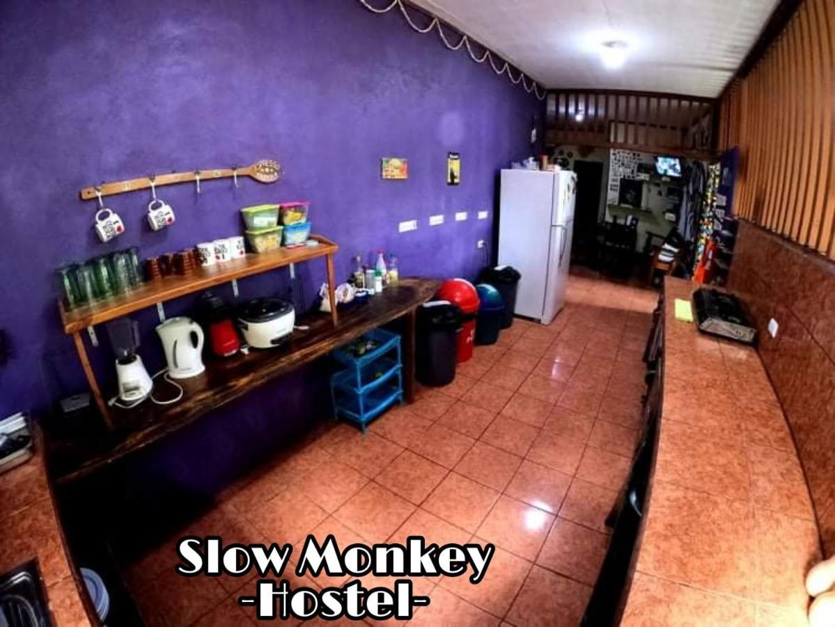 Slow Monkey Hostel Playa Santa Teresa (Puntarenas) Exterior foto