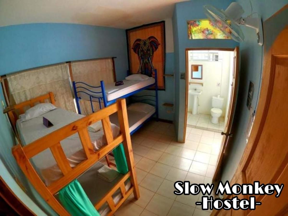 Slow Monkey Hostel Playa Santa Teresa (Puntarenas) Exterior foto